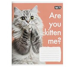 Зошит шкільний в клітинку YES серія Cats 36 аркушів