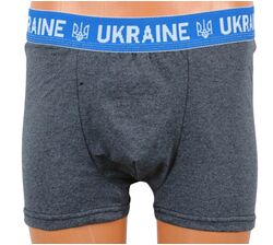 Труси чоловічі р.XXL боксери бавовняні UKRAINE мікс