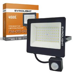 Прожектор світлодіодний з датчиком руху EVROLIGHT FM-01D-50 50 Вт 6400 К