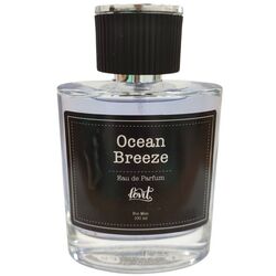 Вода туалетна чоловіча Lovit Ocean Breeze 100 мл