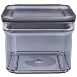 Контейнер харчовий пластиковий з кришкою Wellini Viola 0,45 л