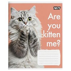 Зошит шкільний в клітинку YES серія Cats 36 аркушів
