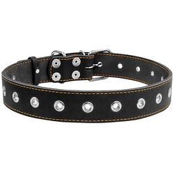Нашийник для тварин 35 мм х 69 см безрозмірний COLLAR чорний