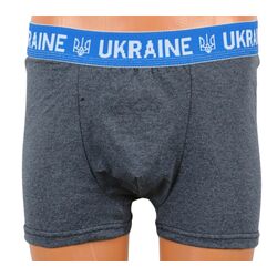 Труси чоловічі р.L боксери бавовняні UKRAINE мікс