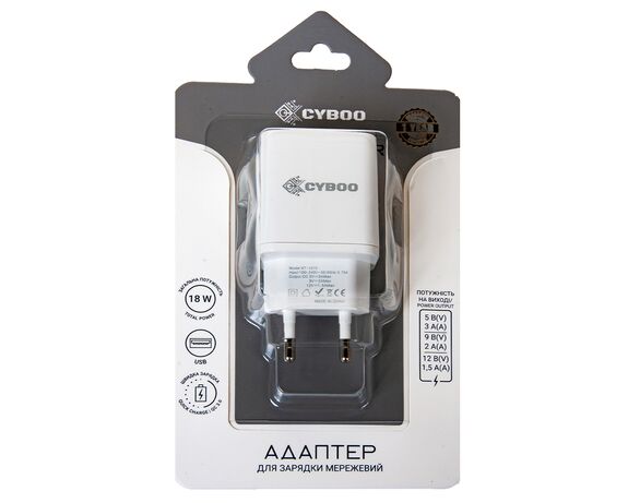 Адаптер для зарядки мережевий Cyboo USB Аврора картинка 2 недорого