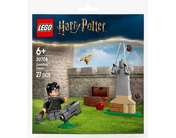 Конструктор дитячий LEGO Урок з Квідичу 27 деталей Аврора недорого