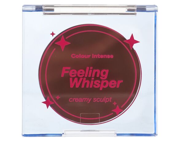 Скульптор для обличчя кремовий Colour Intense Feeling Whisper № 401 5 г Аврора картинка 3 дешево
