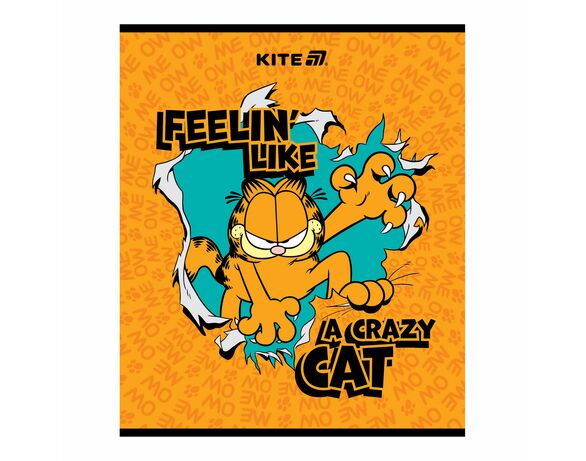 Зошит шкільний клітинка KITE серія Garfield 24 аркуші Аврора картинка 2 фото