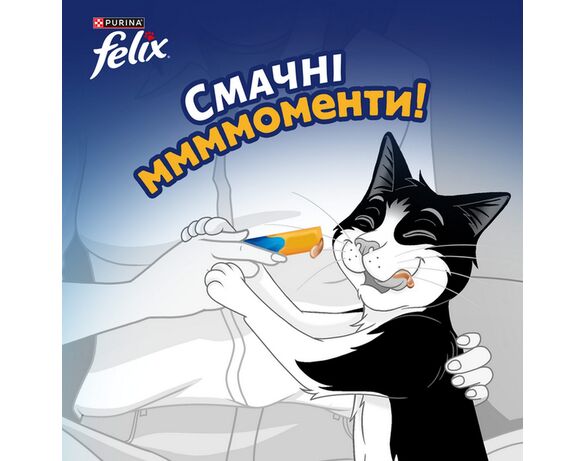 Ласощі для котів Felix Смачні Моменти з куркою 40 г Аврора картинка 7 купити