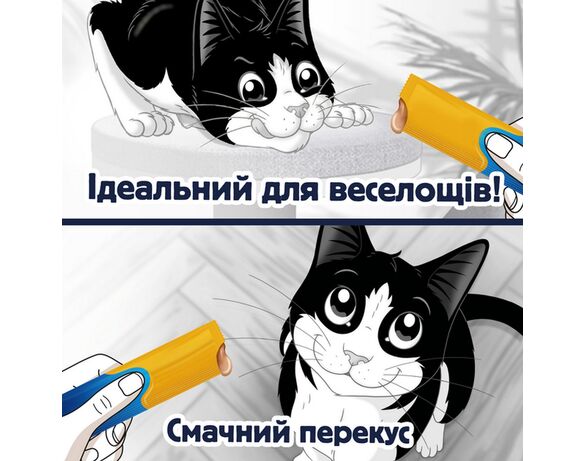 Ласощі для котів Felix Смачні Моменти з куркою 40 г картинка 5 в Аврорі