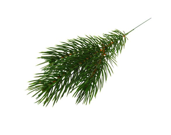Гілочка декоративна лита HVOYA PINE mini зелена Аврора картинка 3 каталог