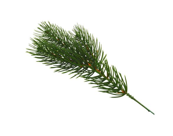 Гілочка декоративна лита HVOYA PINE mini зелена Аврора картинка 2 недорого