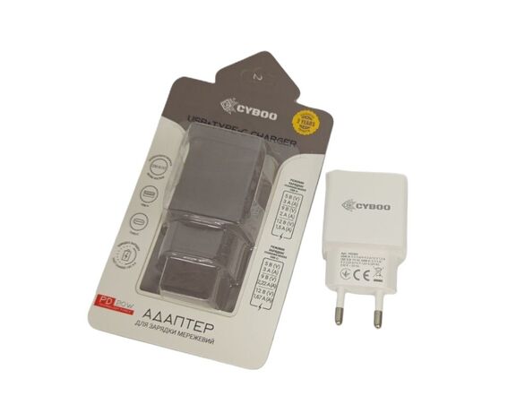 Адаптер для зарядки мережевий Cyboo USB+Type-С Аврора купити