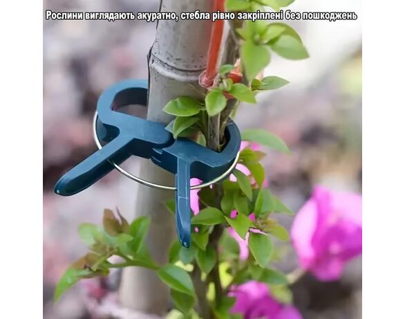 Набір кліпс для кріплення рослин PROGARDEN 20 шт Аврора картинка 6 купити