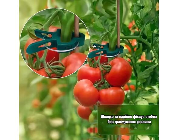 Набір кліпс для кріплення рослин PROGARDEN 20 шт Аврора картинка 7 з доставкою
