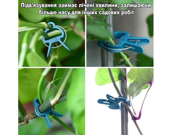 Набір кліпс для кріплення рослин PROGARDEN 20 шт картинка 8 в інтернет-магазині Аврора