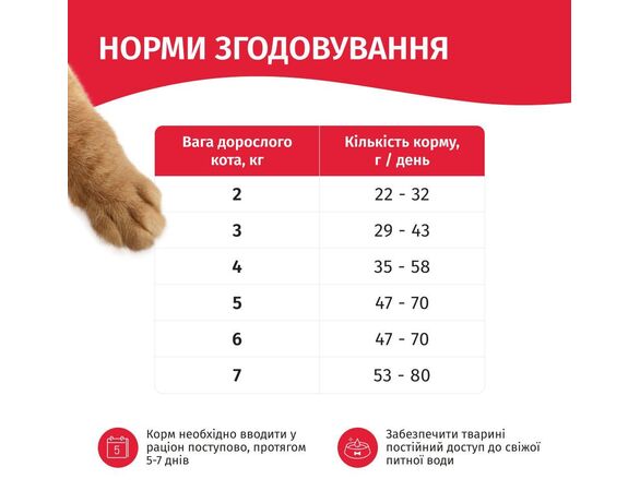 Корм для котів Мяу з м'ясом 300 г Аврора картинка 5 недорого