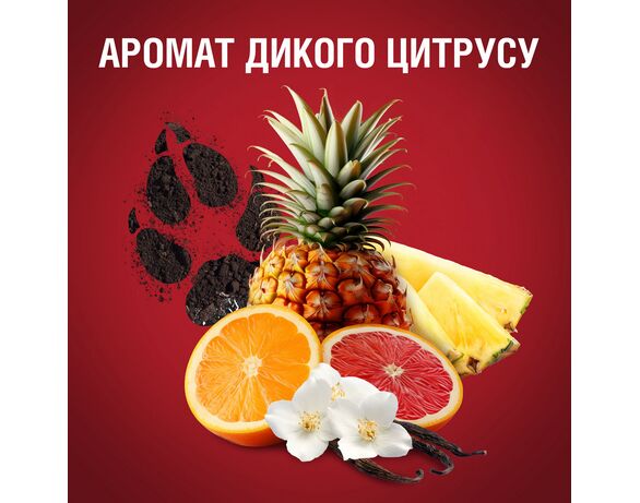 Антиперспірант чоловічий Old Spice Wolfthorn твердий 50 мл Аврора картинка 7 каталог