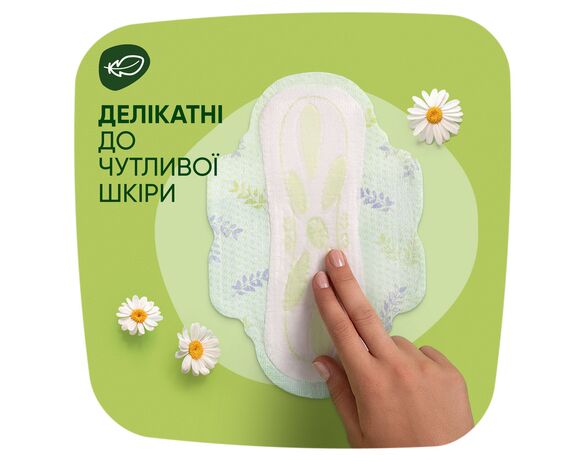 Прокладки гігієнічні NATURELLA Ultra Camomile Normal Duo 20 штук Аврора картинка 3 відгуки