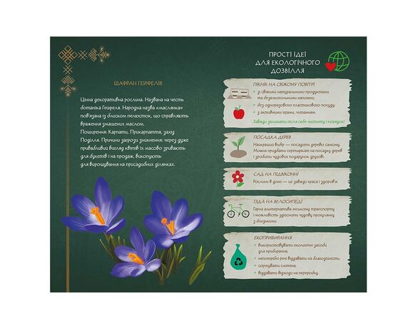 Блокнот тверда обкладинка видавництво Ранок Щоденник Мавки Аврора картинка 5 ціна
