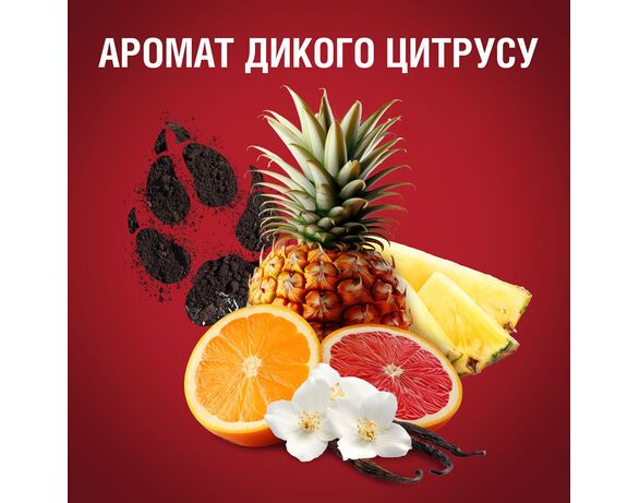 Шампунь-гель для душу чоловічий 3в1 OLD SPICE Wolfthorn 675 мл Аврора картинка 8 купити