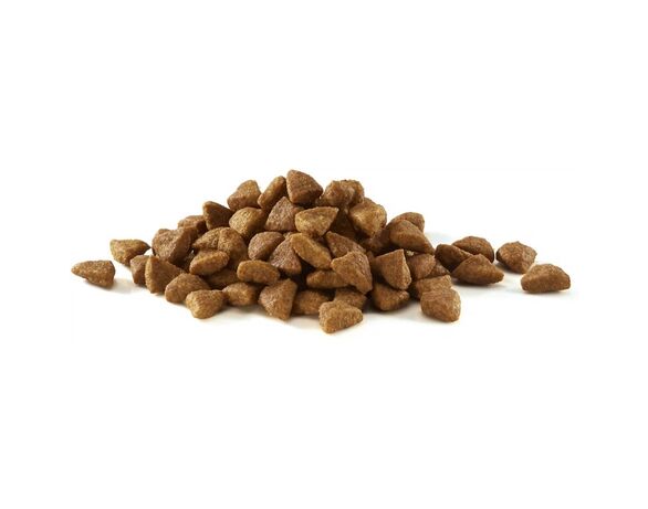 Корм для дорослих котів сухий Purina ONE Sterilcat з лососем 750 г картинка 2 в інтернет-магазині Аврора