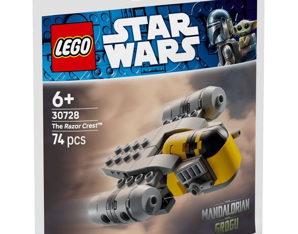 Конструктор дитячий LEGO Гострий гребінь Мінімодель 74 деталі Аврора фото